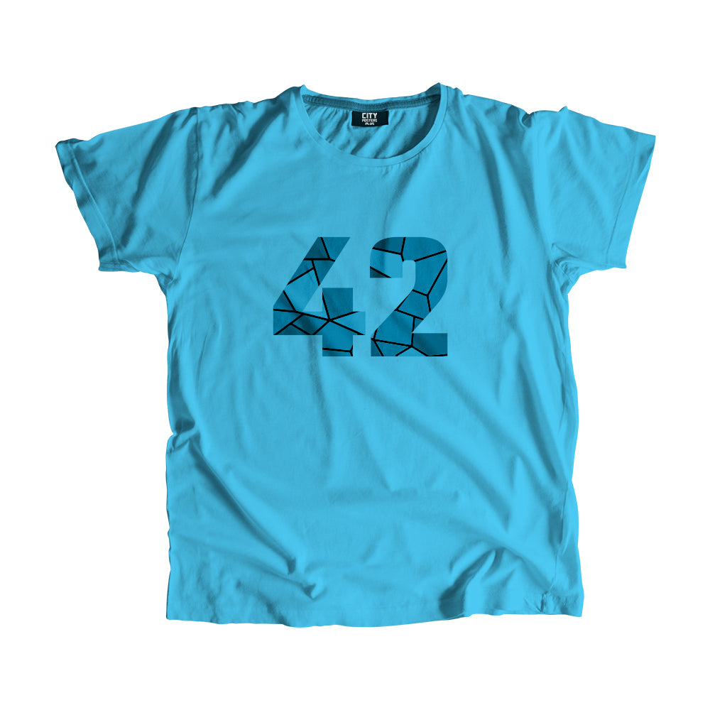 42 Number Unisex T-Shirt (Sky Blue)