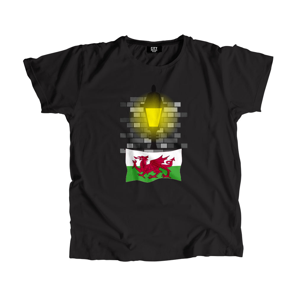 Wales Street Lamp Bricks Unisex T-Shirt